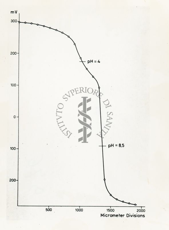 Grafico