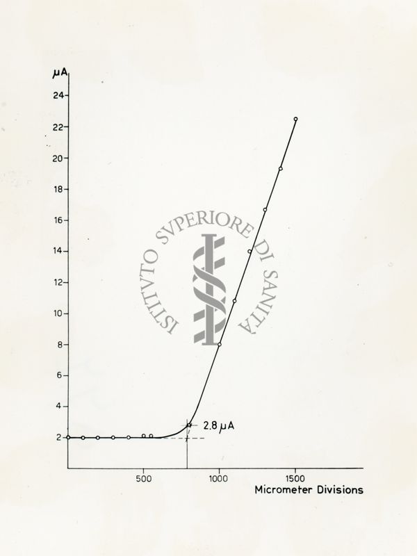 Grafico