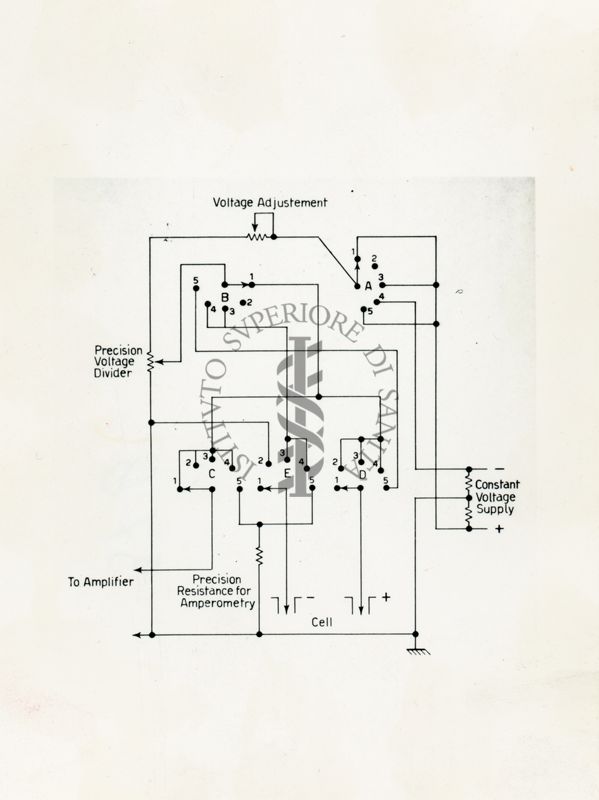 Disegno di un circuito