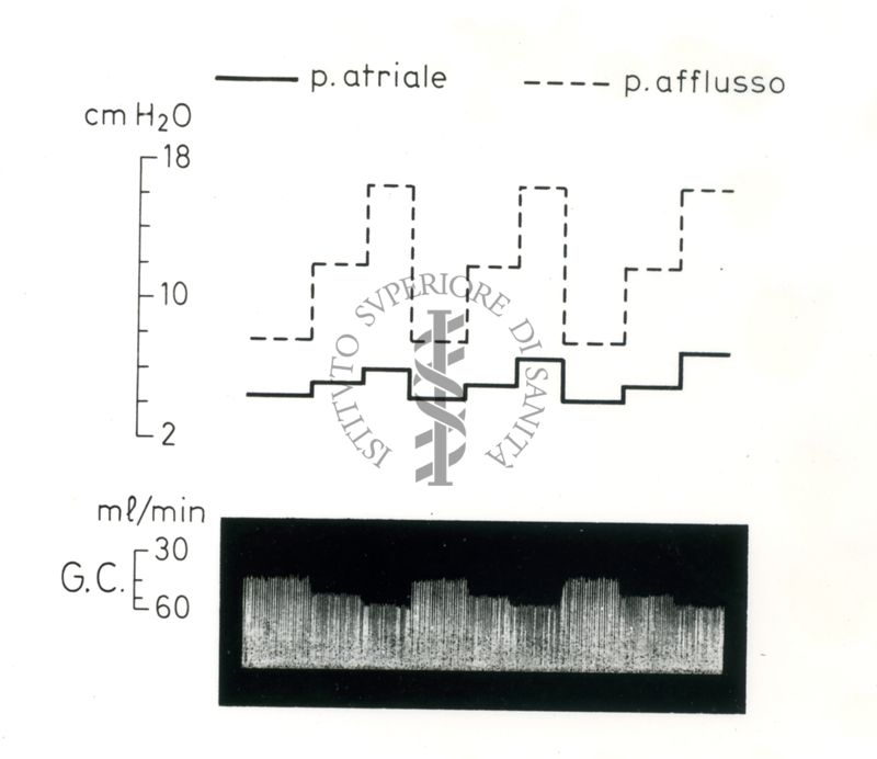 Senza titolo