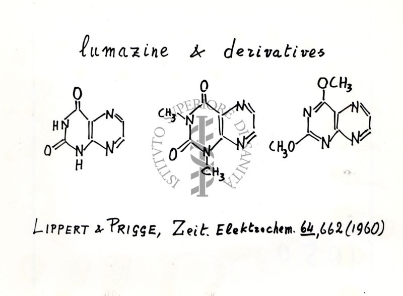 Formule di struttura dell'enzima lumazina e di suoi derivati (da una pubblicazione del 1960)