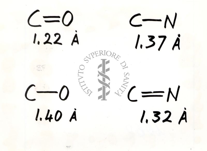 Distanze internucleari in angstrom (Å) del carbonio (C) legato a ossigeno (O) o azoto (N), con legami singoli e doppi