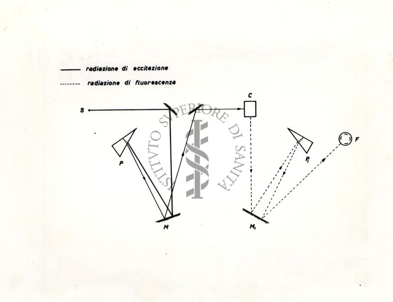 Spettrofluorimetria: schema dei cammini ottici della radiazione d'eccitazione e della radiazione di fluorescenza