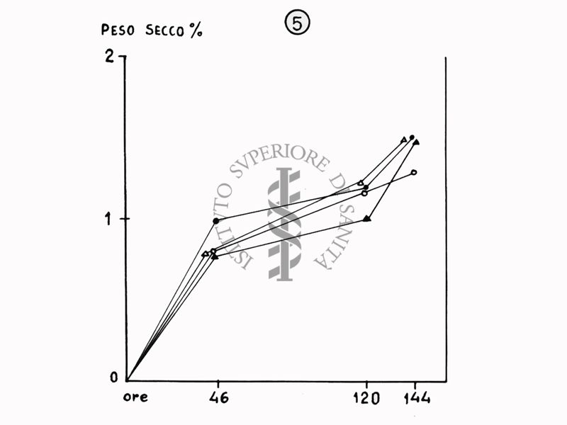 Nella foto grafico - Riproduzione da disegno