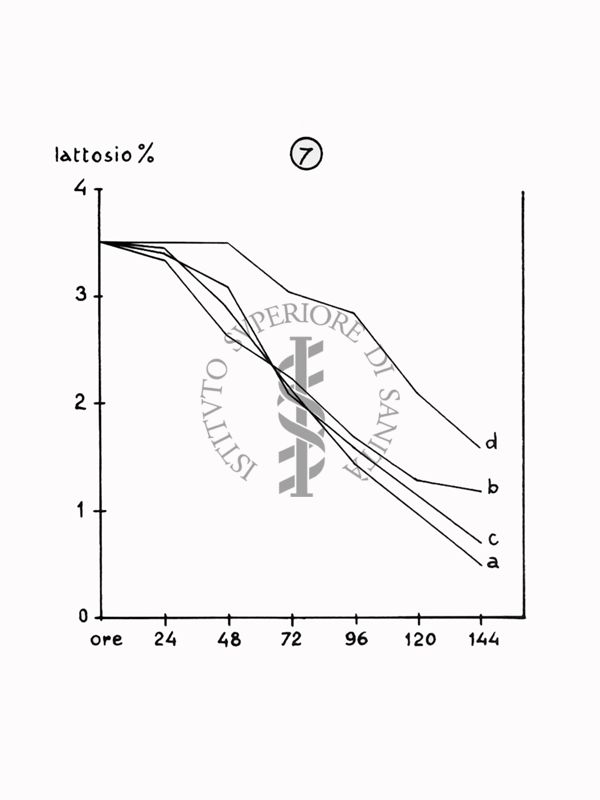 Nella foto grafico - Riproduzione da disegno