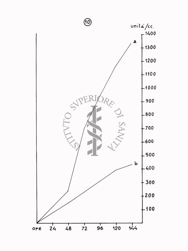 Nella foto grafico - Riproduzione da disegno