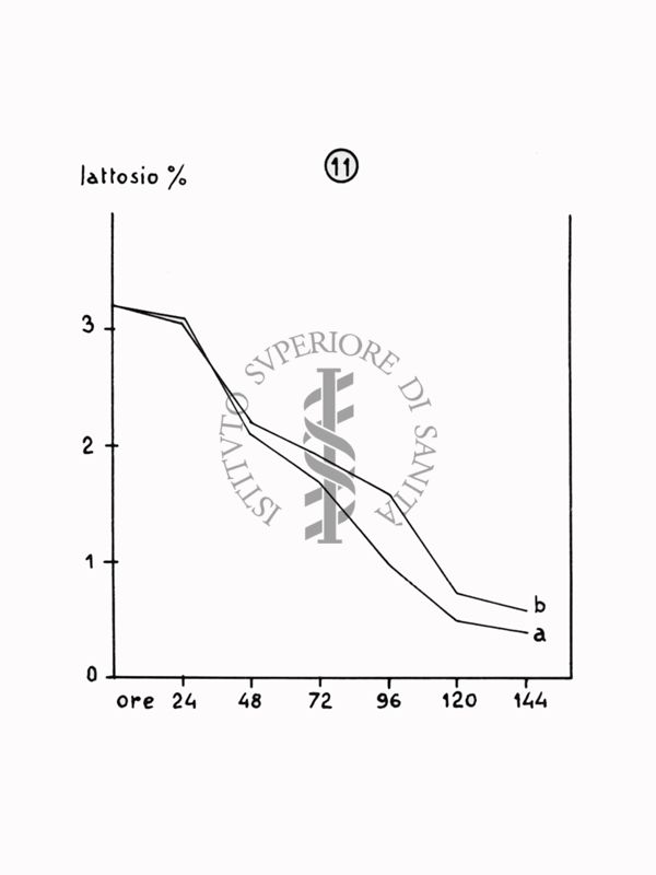 Nella foto grafico - Riproduzione da disegno