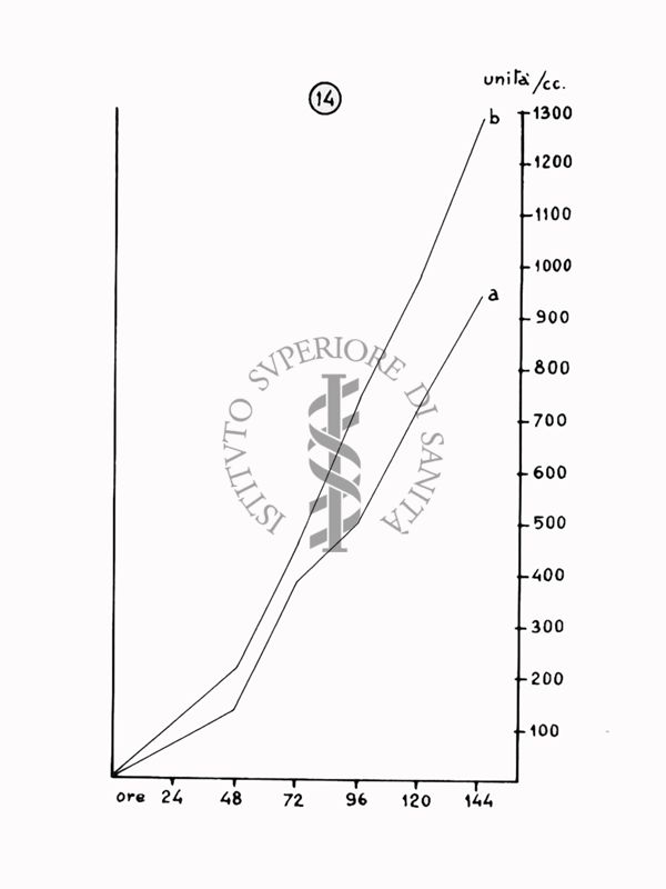 Nella foto grafico - Riproduzione da disegno