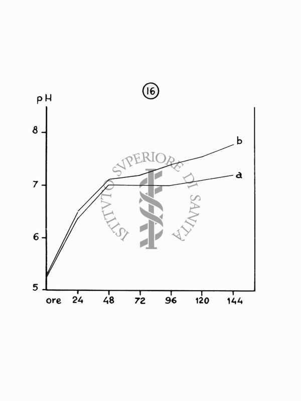 Nella foto grafico - Riproduzione da disegno