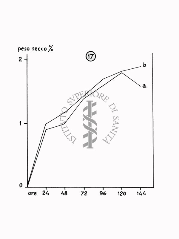 Nella foto grafico - Riproduzione da disegno