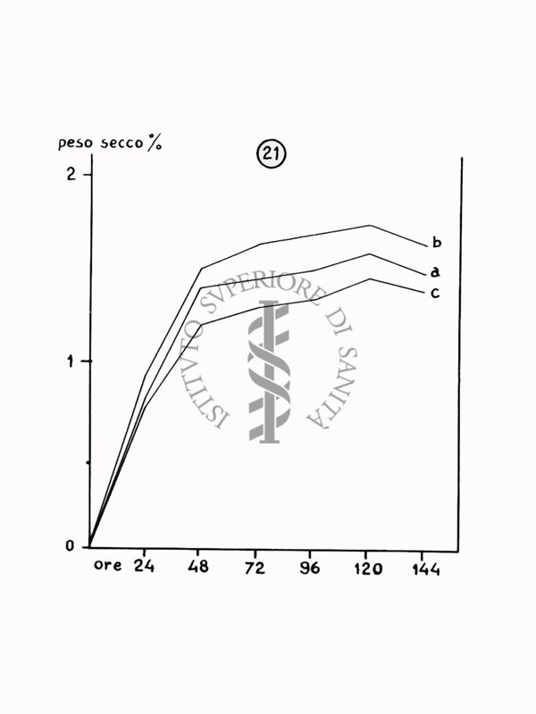 Nella foto grafico - Riproduzione da disegno