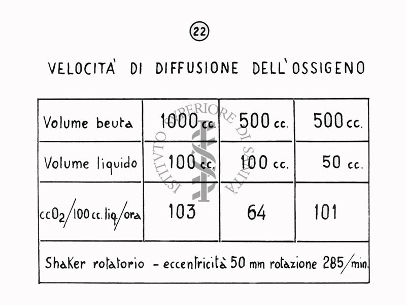 Nella foto grafico - Riproduzione da disegno