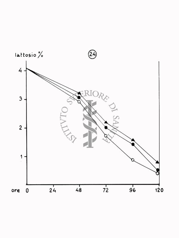 Nella foto grafico - Riproduzione da disegno