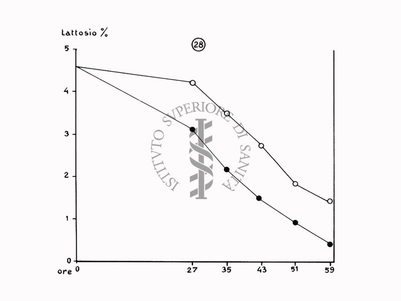 Nella foto grafico - Riproduzione da disegno