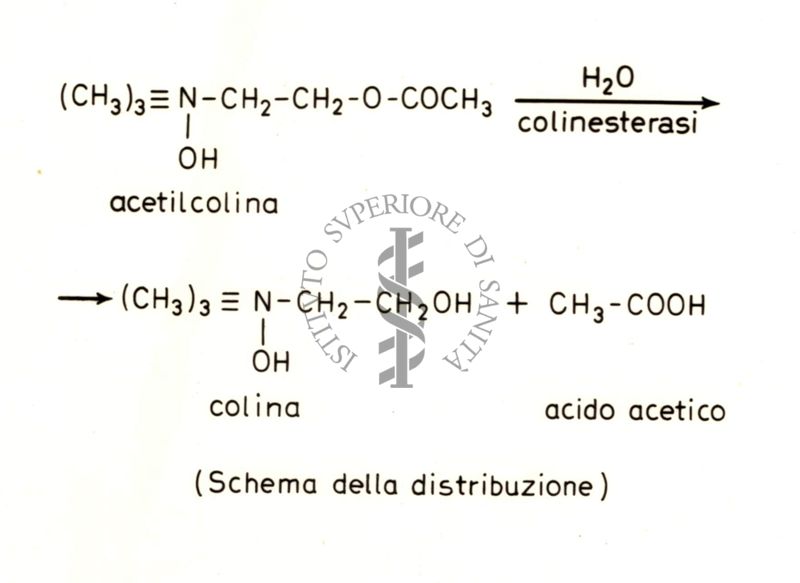 Senza titolo