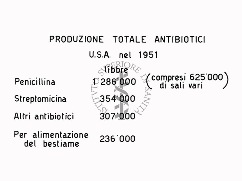 Produzione totale degli antibiotici esportati in U.S.A. nel 1951 - Riproduzione da disegno