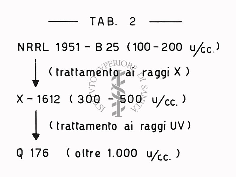 Fermentazioni  di Penicillina TAB 2 - Riproduzione da disegno