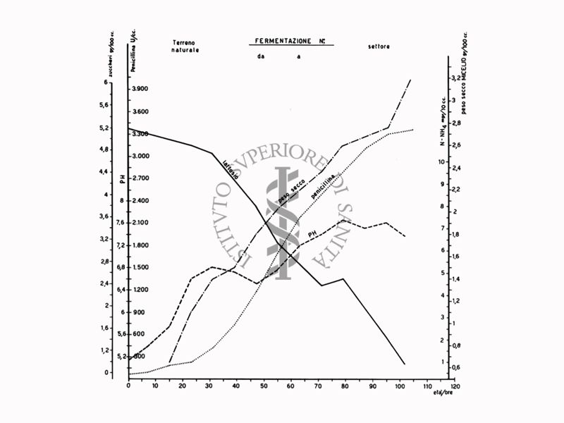 Fermentazioni  di Penicillina  Grafico - Riproduzione da disegno