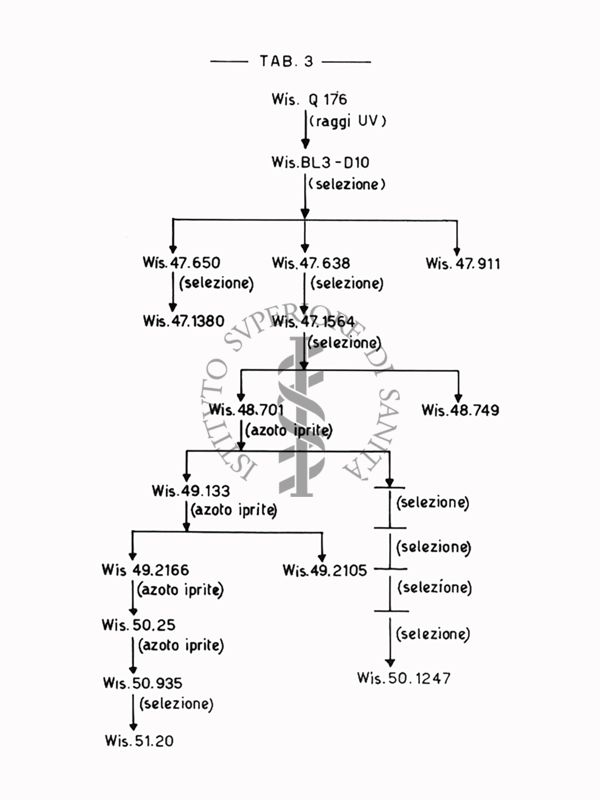 Fermentazioni  di Penicillina TAB 3  - Riproduzione da disegno