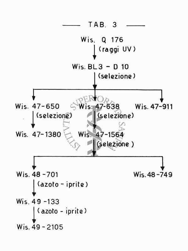 Fermentazioni  di Penicillina TAB 3  - Riproduzione da disegno