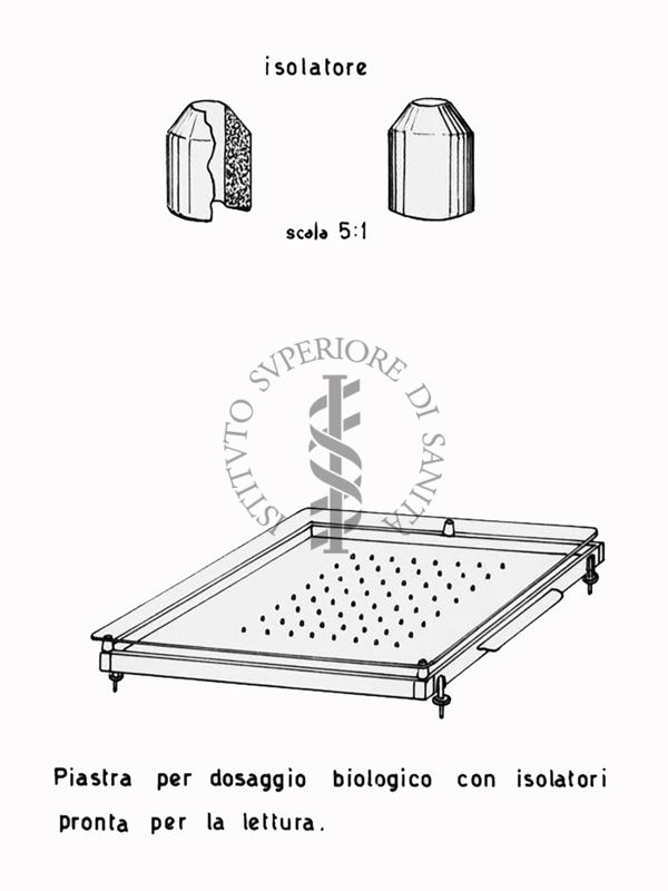 Fermentazioni  di Penicillina. Piastra per dosaggio biologico con isolatori pronta per la lettura - Riproduzione da disegno