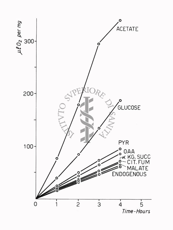 Riproduzione da disegno