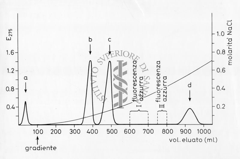 nella foto grafico