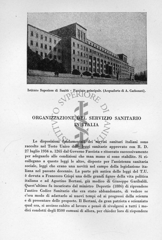 Articolo: Organizzazione del Servizio Sanitario in Italia, autore Massimo Pantaleoni