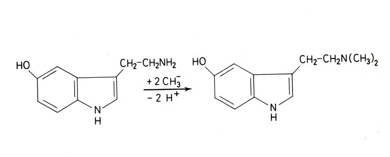 Rappresentazione di formule chimiche