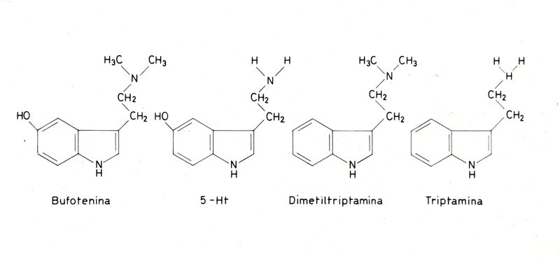 Rappresentazione di formule chimiche