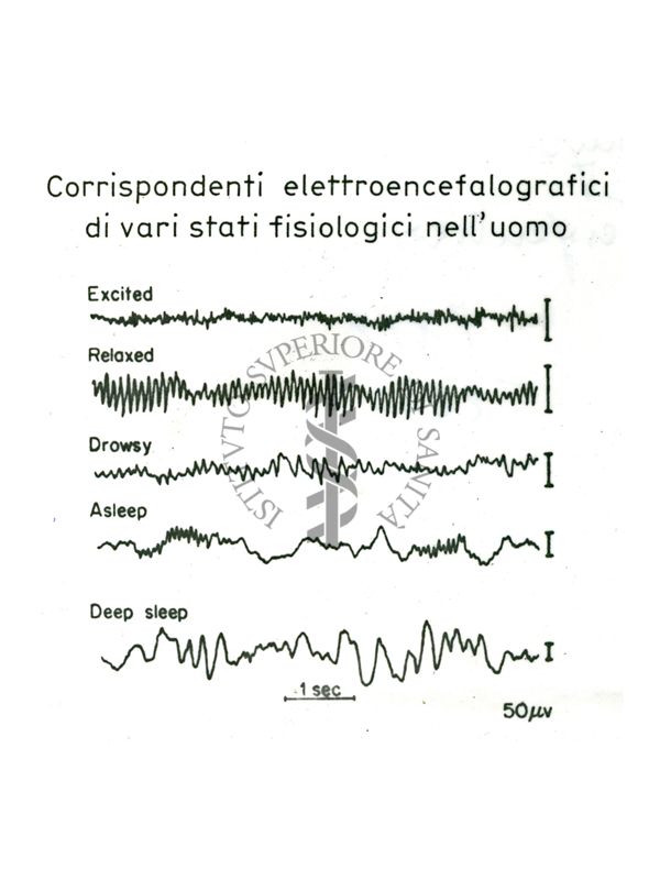 Senza titolo