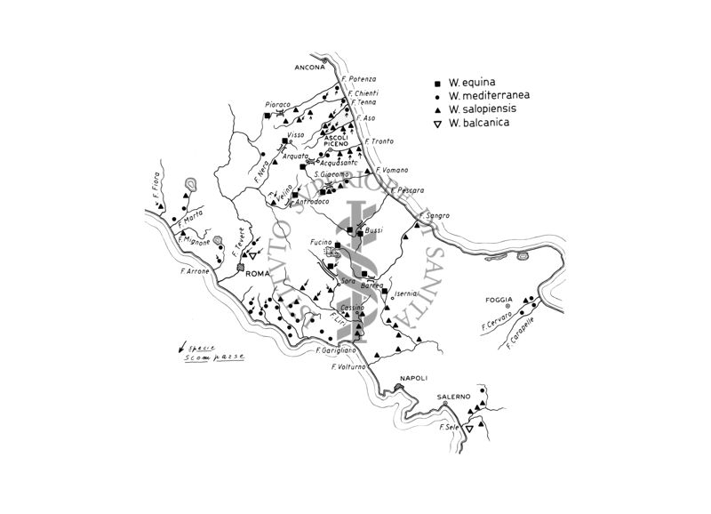 Carta di distribuzione dei siti di presenza delle specie di ditteri Simulidi Wilhelmia equina, W. Mediterranea, W. Salopiensis e W. Balcanica nell'Italia centrale