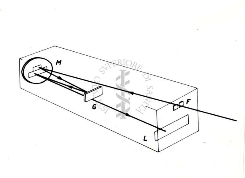 Nella foto disegno