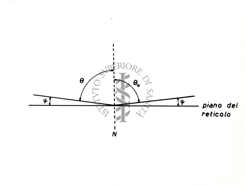 Nella foto Disegno