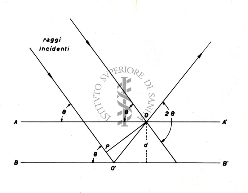 Nella foto disegno