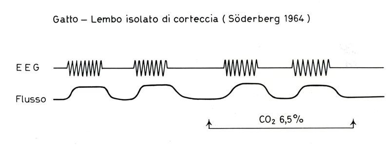 Senza titolo