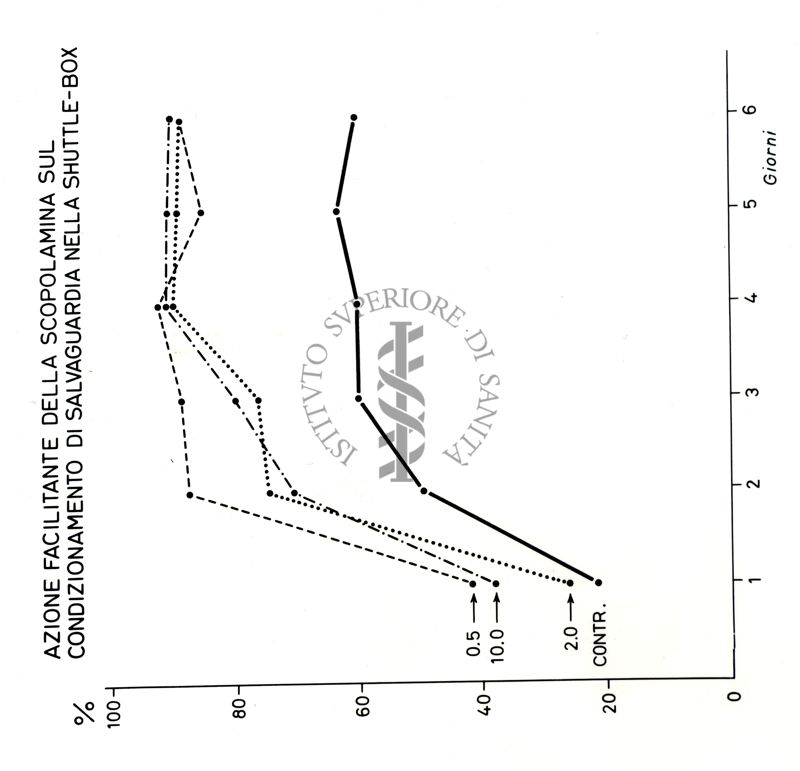 Grafici