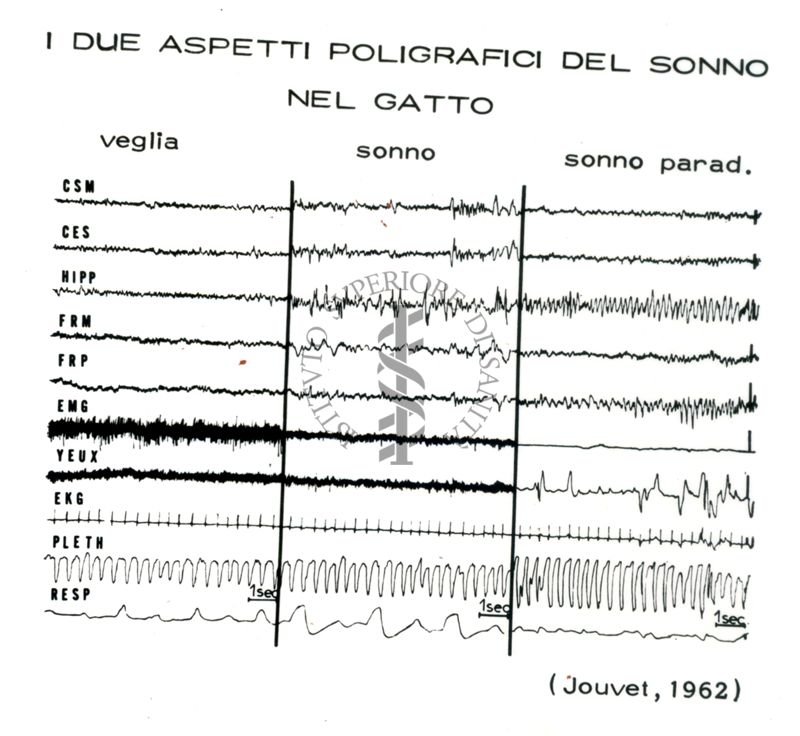 Senza titolo