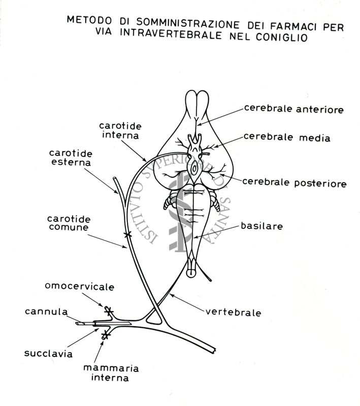 Senza titolo