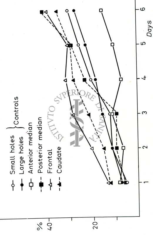 Grafici