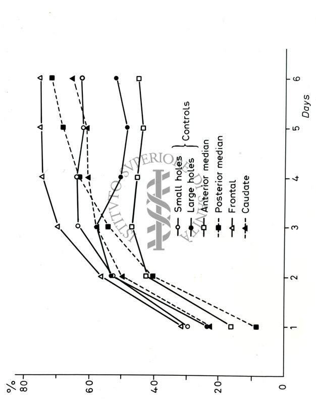 Grafici