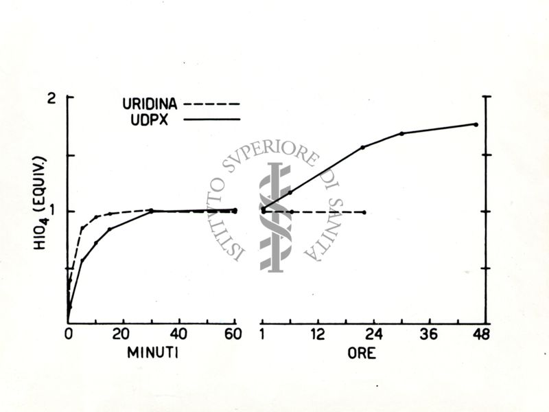 Grafici riguardanti URIDINA e UDPX