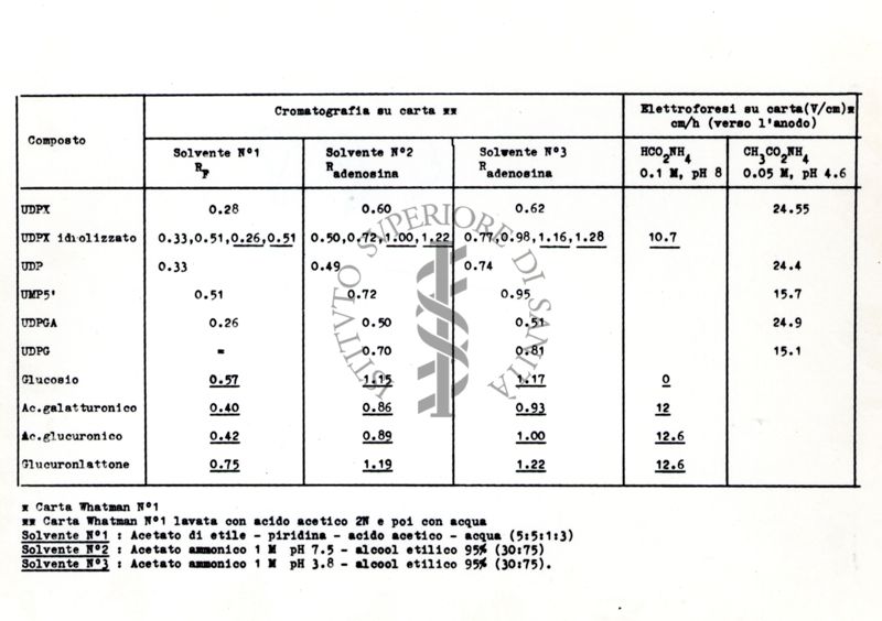 Cromatografia su carta e elettroforesi su carta