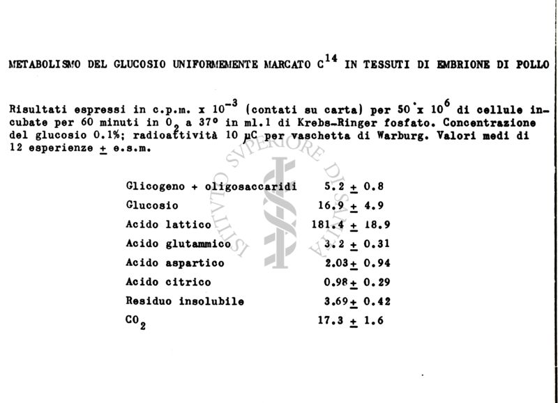 Tabella riguardante il metabolismo del glucosio in tessuti di embrione di pollo