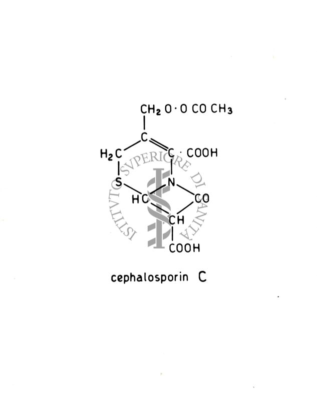 Formula di struttura della cefalosporina C