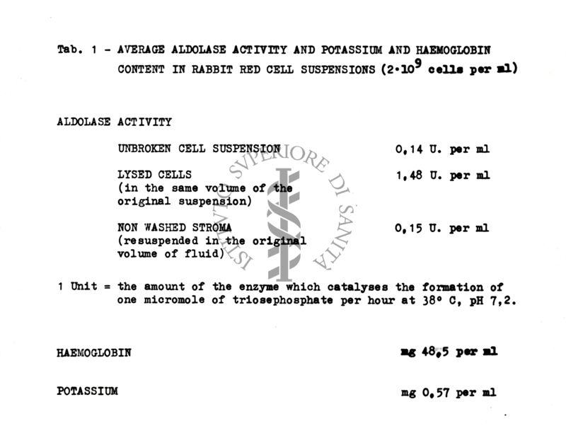 Tab. 1 - Average aldolase activity and potassium and haemogoblin contet in rabbit red cell suspensions