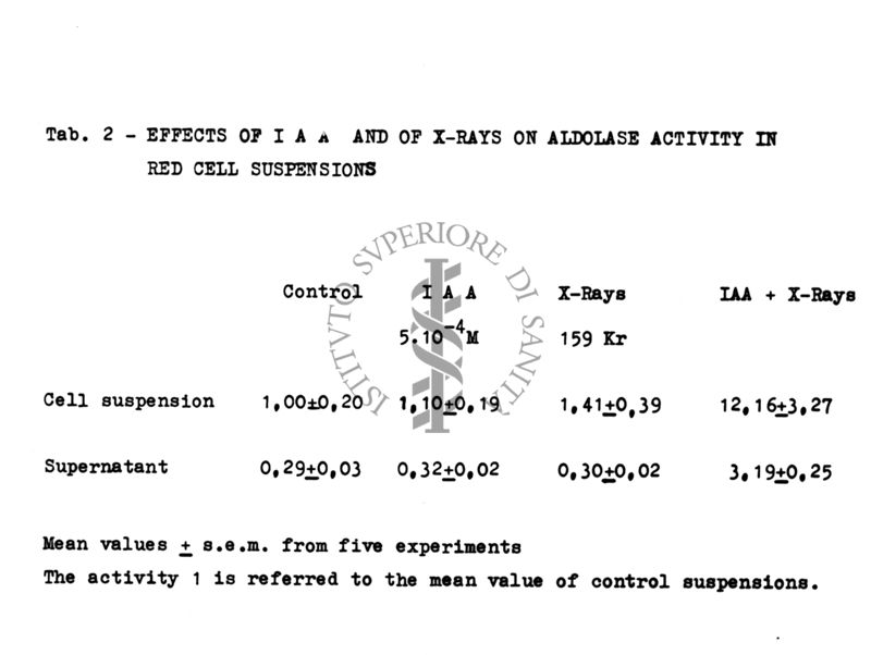 Tab. 2 - Effects of IAA and of x-rays on aldolase in red cell suspension