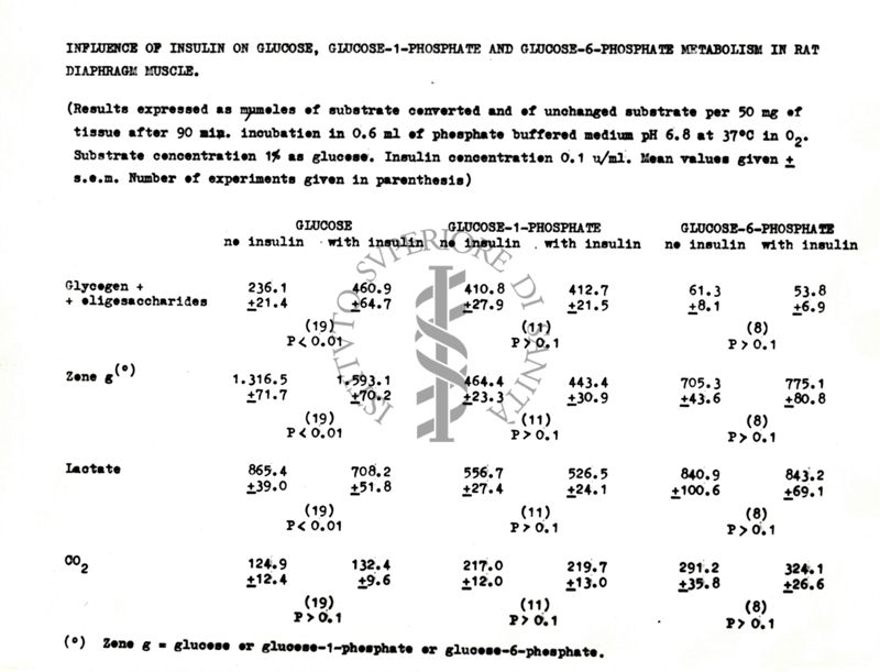 Influence of insulin on glucose, glucose-1-phosphate and glucose-6-phosphate metabolism in rat diaphragm muscle