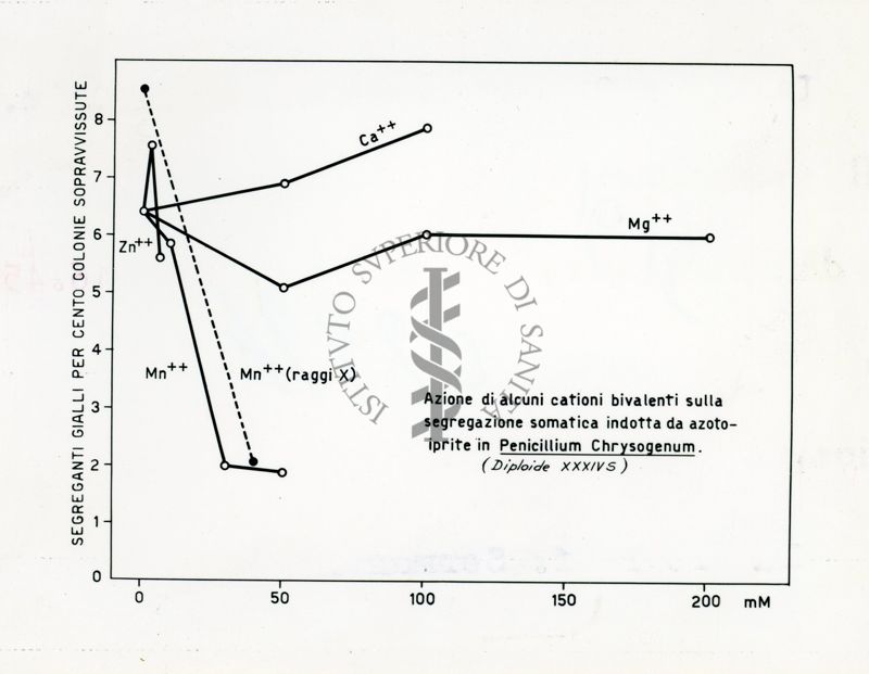 Nella foto disegno di schema