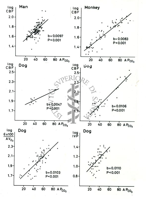 Grafici